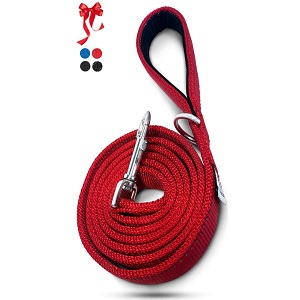 Dutchy Brand Heavy-Duty Training Dog Leash