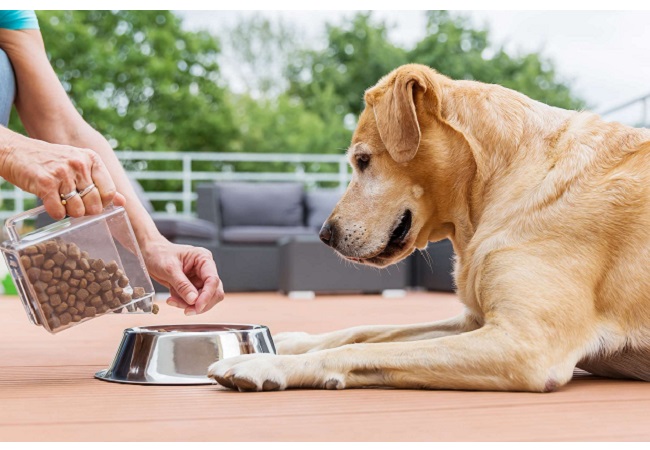 How Many Cups In A Pound Of Dog Food DogNeedsBest