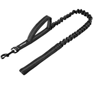 OneTigris Stretchable Leash