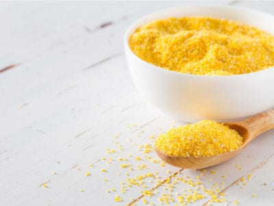 Corn gluten meal in dog food