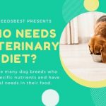 Does Your Dog Need A Veterinary Diet Featured Image