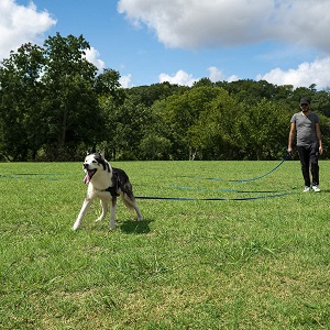 Hi Kiss Training Leash