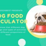 How Many Cups in a Pound of Dog Food Featured Image