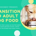 Is Your Puppy Ready for Adult Dog Food Featured Image