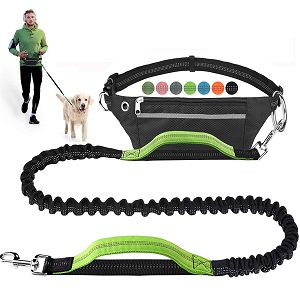 LANNEY Hands Free Dog Leash