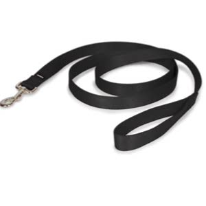 PetSafe Nylon Dog Leash