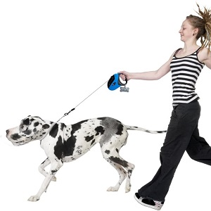 TaoTronics Retractable Dog Leash