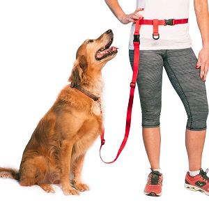 The Buddy System Adjustable Hands Free Dog Leash