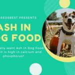 What is Ash in Dog Food & Its Importance Featured Image