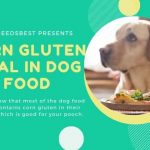 What is Corn Gluten Meal In Dog Food Featured Image