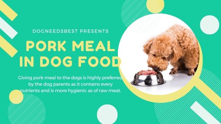 What is Pork Meal In Dog Food Featured Image