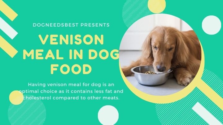 What is Venison Meal In Dog Food Featured Image