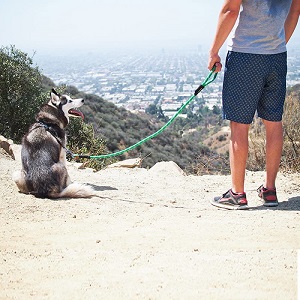 ZippyPaws Rope Dog Leash