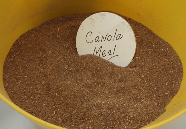 Canola meal in dog food