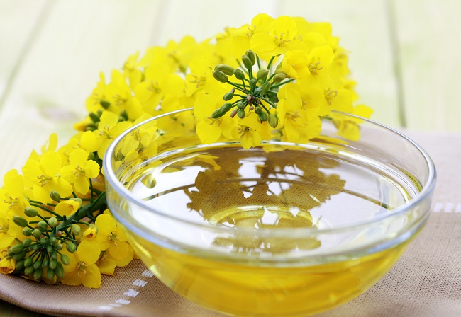 Canola oil in dog food