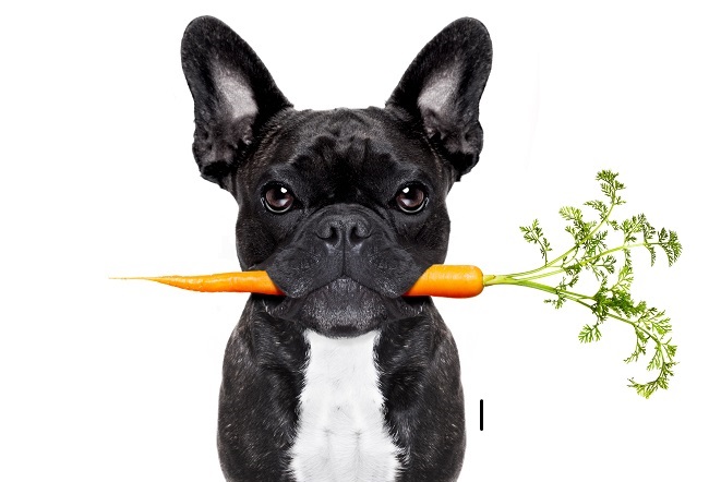 dog eating vegetables