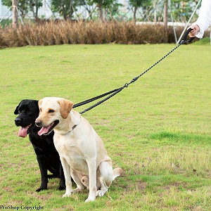 iYoShop Dual Dog Leash