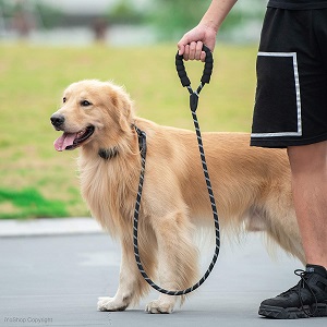 iYoShop Strong Dog Leash