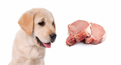 pork meal in dog food