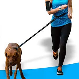 Best Dog Leash for Hiking