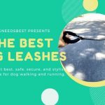 Best Dog Leashes For Your Furry Friend Featured Image
