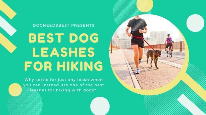 Best Dog Leashes for Hiking Featured Image