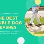 Best Double Dog Leashes & Double Dog Leash Couplers Featured Image