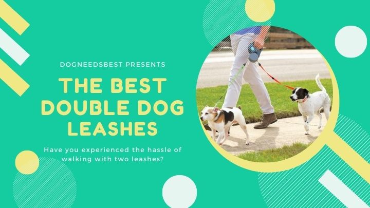 Best Double Dog Leashes & Double Dog Leash Couplers Featured Image