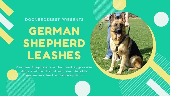 Best German Shepherd Leashes for Puppies Featured Image