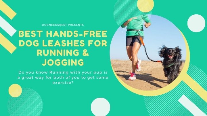 Best Hands-Free Dog Leashes For Running & Jogging Featured Image