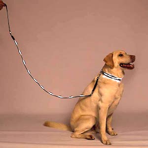 Best LED Dog Leash