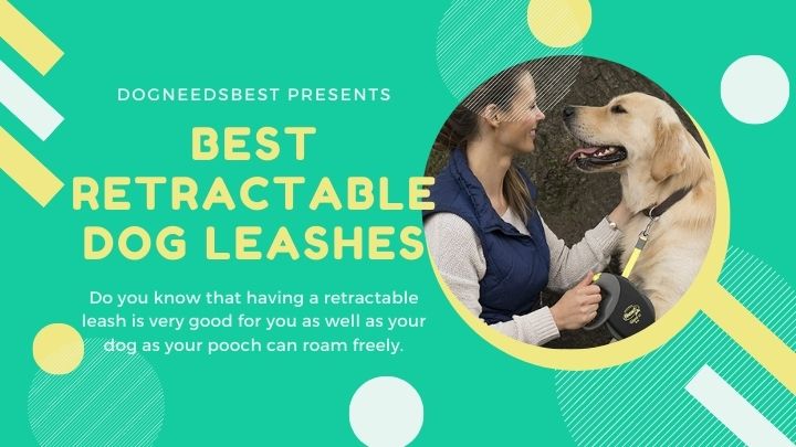 Best Retractable Dog Leashes Featured Image