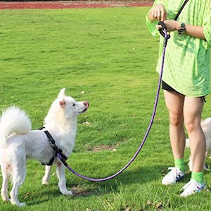 Best Rope Dog Leash