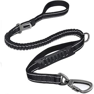 Heavy Duty Dog Leash