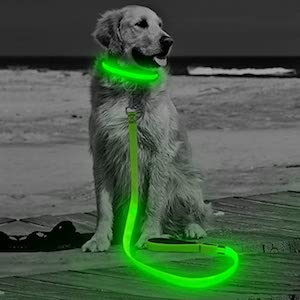 HiGuard LED Dog Leash