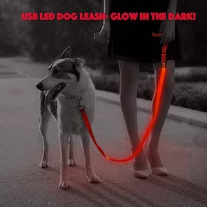 Illumifun Glowing LED Dog Leash