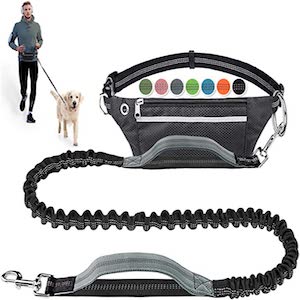 LANNEY Hands Free Dog Leash