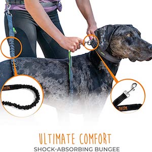 Mighty Paw Hands Free Dog Leash