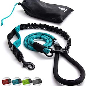 SparklyPets Bungee Leash