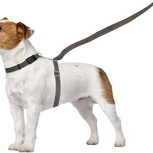 ThunderLeash No-Pull Dog Leash