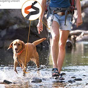 Tuff Mutt Hands Free Dog Leash for Hiking