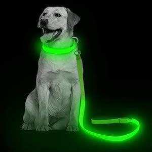 VIZPET LED Dog Leash