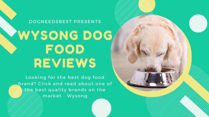 Wysong Dog Food Reviews, Ratings, Recalls, Ingredients Featured Image