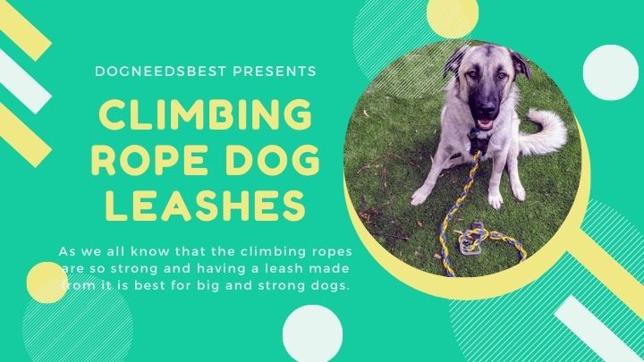 How To Make A Dog Leash Out Of Climbing Rope Featured Image