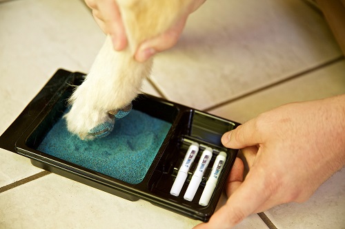 Dog paw friction for anti-slipping