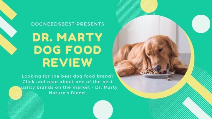 Dr. Marty Nature’s Blend Dog Food Review – Is It Worth It Featured Image