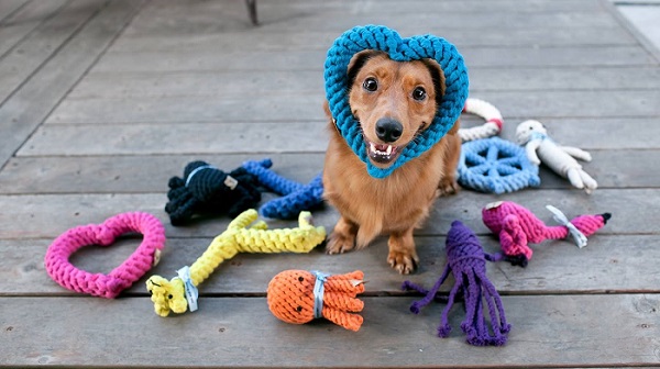 How to Clean your Dog Toys