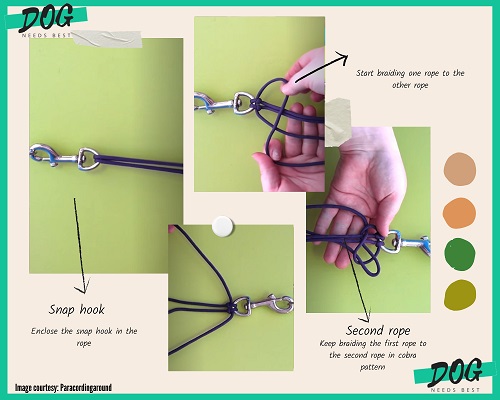 How to make Dog Leash Idea by Paracordingaround