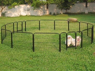Keep dog away from fence Keep dog away from fence