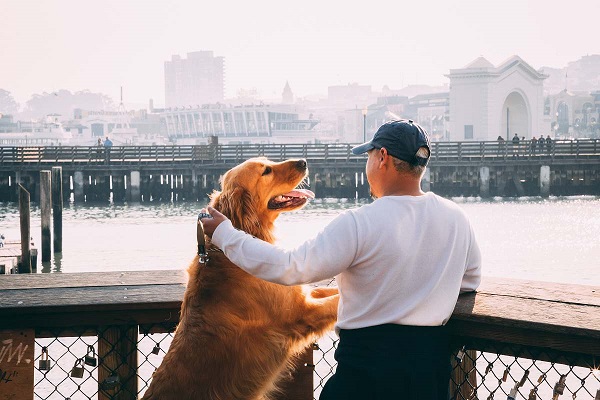 5 Documentaries About Dog Breeds That Will Certainly Really Change The Means You See Dog Breeds
